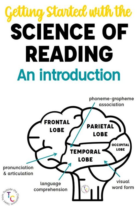 Hearing the Science of Reading but not sure what it is? This blog series gives an easy to digest introduction to the science behind effective reading and what we can do to ensure our students become strong, effective readers! Take a read at the introduction to SOR and sign up to receive all of the posts in the series to your email. Science Of Reading 2nd Grade, Science Of Reading Kindergarten, Science Of Teaching Reading, Kindergarten Worksheets Science, Phonics Assessments, Teaching Reading Skills, Kindergarten Word Families, Reading Kindergarten, Structured Literacy