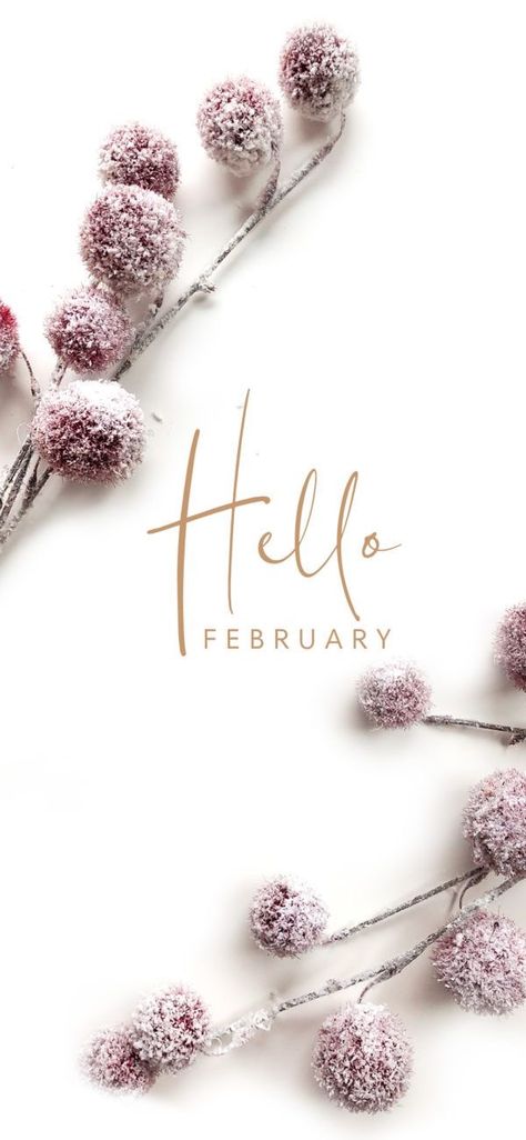 Hello February Wallpaper Iphone, Hello February Aesthetic, February Background Wallpapers Iphone, Iphone Wallpaper February, Wallpaper Iphone February, February Wallpaper Backgrounds, Hello February Month, February Aesthetic Month, February Wallpaper Iphone