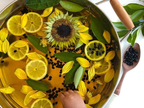 Yellow Tuff Tray Ideas, Sunflower Eyfs Activities, Sunflower Tuff Tray, Lemon Sensory Play, Yellow Sensory Play, Dandelion Toddler Activities, Water Tray, Van Gogh Sunflowers, Sunflower Garden