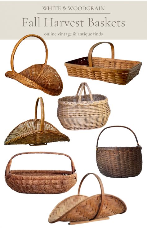 Basket Home Decor Ideas, Pumpkins In A Basket, Harvest Basket Gift, Basket Of Pumpkins, Decorating With Longaberger Basket Ideas, Harvest Basket Ideas, Gathering Basket Decor, Harvest Basket Decor, Basket With Handle Decor Ideas