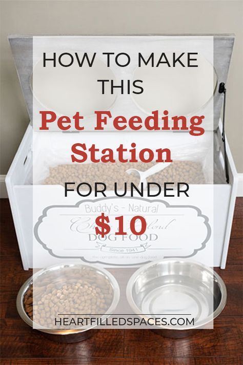 Diy Cat Feeding Station, Elevated Dog Bowls Diy Ideas, Diy Dog Food Station, Dog Food Storage Diy, Pet Food Station, Diy Pet Ideas, Dog Station, Cat Breeding, Dog Food Station