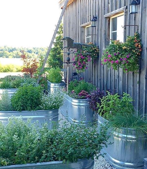 Stock Tank Gardening, Galvanized Garden, Junk Garden, Garden Troughs, Water Trough, Garden Yard Ideas, Veggie Garden, Farm Gardens, Small Gardens