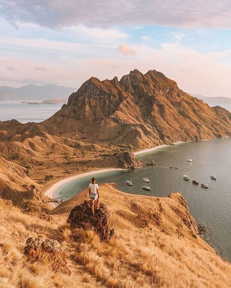 Padar Island, Indonesia || coastline, ocean, mountain, viewpoint Padar Island, Ocean Mountain, Favorite Places, Indonesia, Water, Travel, Beauty, Instagram