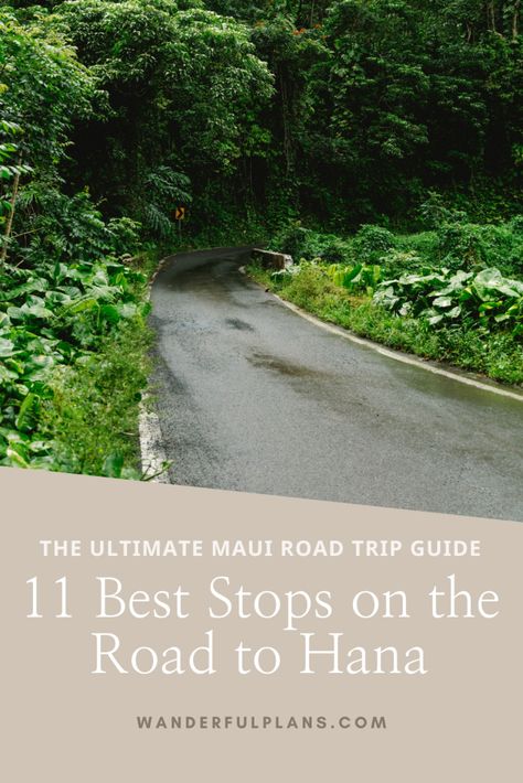 11 Best Stops on the Road to Hana in Maui - Wanderful Plans Maui Bucket List, Road To Hana Stops, Road To Hana Maui, Rainbow Eucalyptus Tree, Hana Highway, Rainbow Eucalyptus, Hana Maui, Lava Tubes, Haleakala National Park