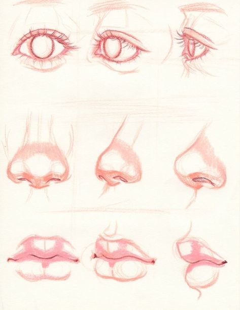 Drawing Eyes On Face, Upward Nose Drawing, Draw Nose, Eyes Reference, Drawing Lips, Drawing Tutorial Face, Nose Drawing, Digital Painting Tutorials, Pencil Art Drawings