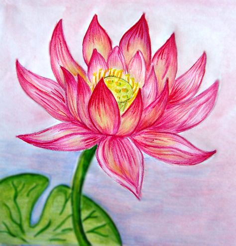 35 Beautiful Flower Drawings and Realistic Color Pencil Drawings | Read full article: http://webneel.com/flower-drawings | more http://webneel.com/drawings | Follow us www.pinterest.com/webneel Flower Drawing Tumblr, Realistic Flower Drawing, Hibiscus Flower Drawing, Lotus Flower Drawing, Lotus Drawing, Pencil Drawings Of Flowers, Beautiful Flower Drawings, Pencil Drawing Tutorials, Flower Drawing Tutorials