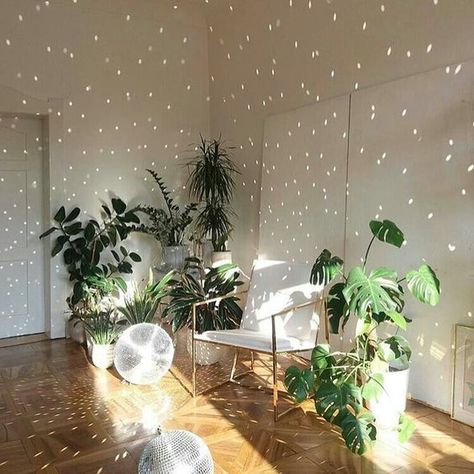 Put a disco ball in a spot that gets frequent direct sunlight. Mirror Disco Ball Decor, Mirror Ball Home Decor, Disco Apartment Aesthetic, Disco Room Ideas, Ceiling Lights Aesthetic, Disco Ball Decoration, Disco Ball In Room, Room With Plants Aesthetic, Mirror On Ceiling