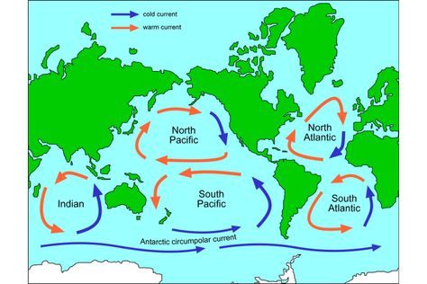 Map of ocean gyres — Science Learning Hub Plastic Ocean, Great Pacific Garbage Patch, Ocean Currents, Physical Geography, Curriculum Mapping, Ocean Current, Ozone Layer, Geography Lessons, Earth And Space Science