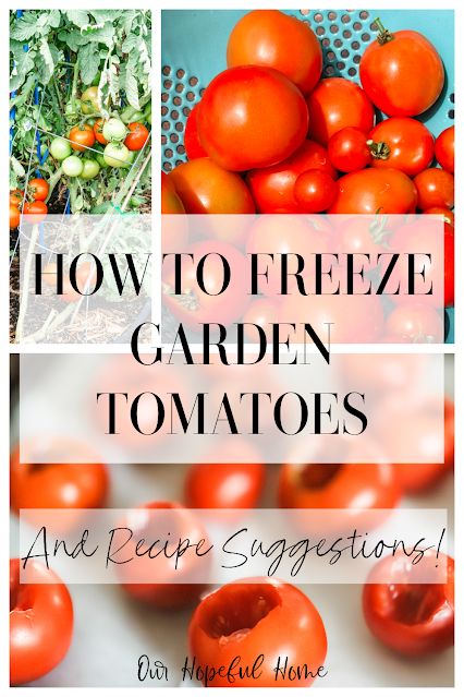 How To Freeze Garden Tomatoes Plus Frozen Tomato Recipe Ideas How To Freeze Fresh Tomatoes, Roma Tomato Recipes, How To Freeze Tomatoes, Edible Greens, Garden Salads, Homemade Tomato Paste, Old Fashioned Beef Stew, Tomato Paste Recipe, Freezing Tomatoes