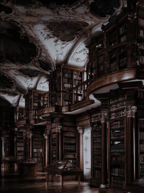 Dark Academia Library, Dorian Havilliard, Dark Castle, Dream Library, Beautiful Library, Castle Aesthetic, Old Library, Library Aesthetic, Royalty Aesthetic