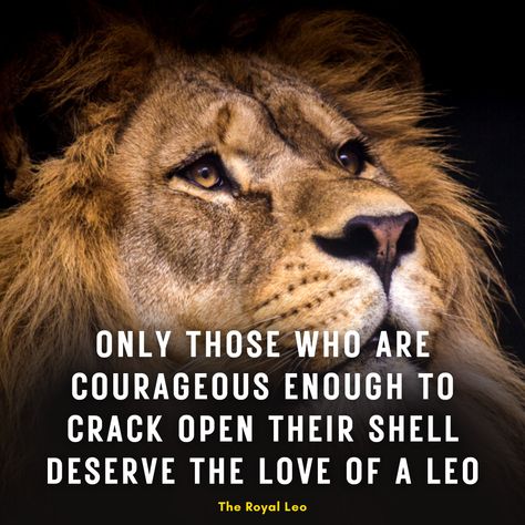 The ❤️ of a ♌ More Leo Quotes on YouTube 👉 https://bit.ly/2T5cc7S #Leo #Lion #Lions #LeoFacts #LionQuotes #LeoZodiac #TheRoyalLeo #LeoQuotes #AttitudeQuotes #LeoAttitude #LionAttitude #LeoWoman #Motivational #Inspirational #Leos #Leo♌ #LeoGang #LeoSeason♌ #LeoLife #LeoQueen #LionKing #Lioness #LionQuotesForLife #Strength #Faith #Attitude #AttitudeIsAltitude Leo Attitude Quotes, Leo Woman, Leo Star Sign, Leo Quotes, Leo Star, Lion Quotes, Leo Lion, Leo Women, Leo Season