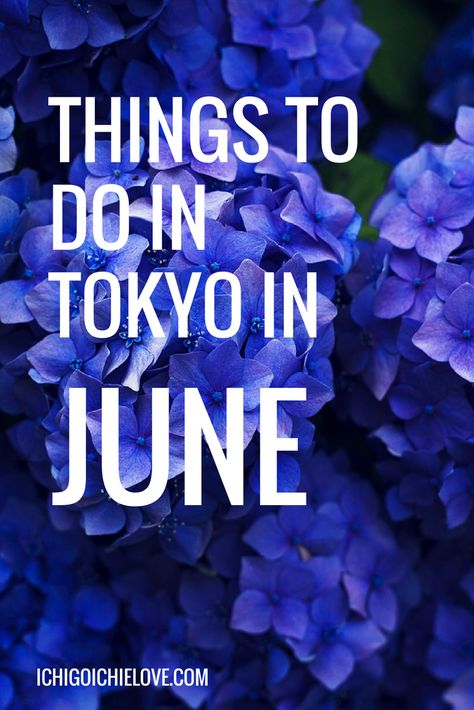 The best traditional festivals and flowers in Tokyo in June | Tokyo Events  | Japan Trip | Tokyo Trip | Japanese Traditional Festivals | Flowers in Japan | Japan In June, Japan Beach, Where Is Bora Bora, Tokyo Trip, Japan Travel Destinations, Japan Bucket List, Tokyo Japan Travel, Japanese Travel, Japan Travel Tips