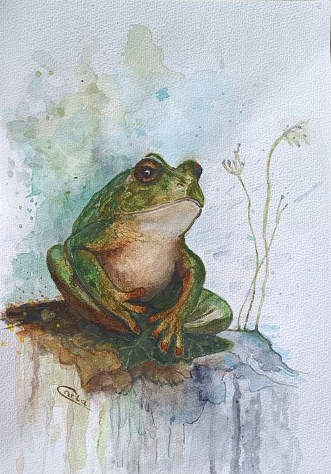 𝔽𝕣𝕠𝕘  watercolor - (21x29,7) Frog Watercolor, Watercolor Frog Tutorial, Frog Watercolor Paintings, Watercolor Tree Frog, Frog Painting Realistic, Diy Watercolor Painting, Beautiful Bugs, Diy Watercolor, Frog And Toad