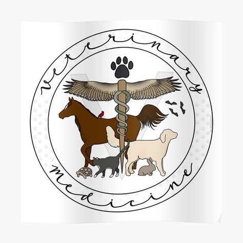 "Veterinary Medicine Caduceus (Cursive)" Sticker for Sale by Hanna M | Redbubble Dvm Veterinary Medicine Wallpaper, Vet Med Aesthetic, Veterinary Medicine Symbol, Veterinary Medicine Student, Vet Technician, Medicine Logo, Large Animal Vet, Med Vet, Veterinary Surgeon