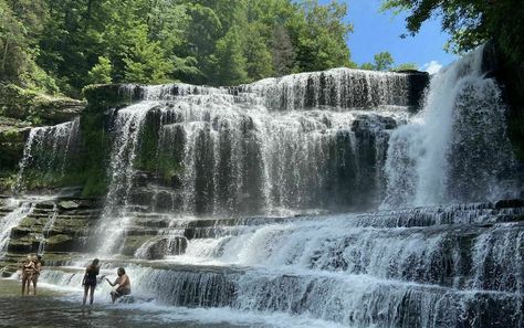 Hike Less Than A Mile To Cummins Falls Swimming Hole In Tennessee Cummins Falls Tennessee, Cummins Falls, Cummins Falls State Park, Waterfall Swimming, Tennessee Attractions, Tennessee Waterfalls, Cookeville Tennessee, Southern Road Trips, Tennessee Road Trip