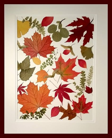 Pressed Flower Cards, Lucy Montgomery, Dry Leaf Art, Leaf Art Diy, Foliage Art, World Where There Are Octobers, Pressed Flowers Diy, Leaf Projects, Autumn Leaves Art