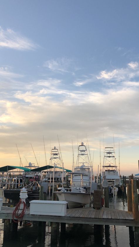 Boat Harbour, Harbour Aesthetic, Future Life, San Francisco Skyline, Summer Vibes, Lake, Water, Travel