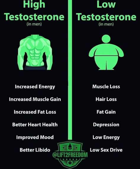 Testosterone Boosting Foods, Gym Workout Guide, High Testosterone, Boost Testosterone, Increase Testosterone, Testosterone Levels, Medical Knowledge, Health Knowledge, Good Health Tips