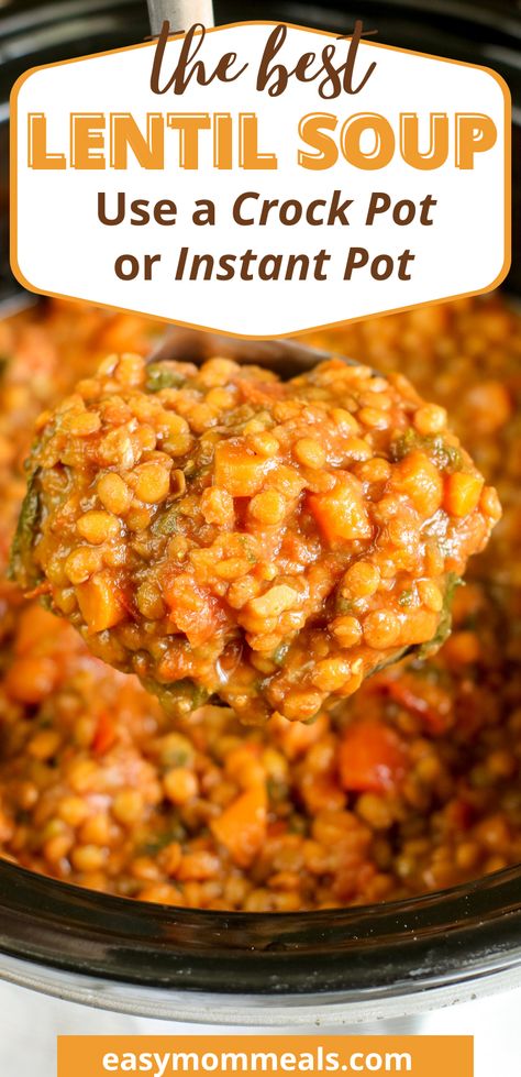 Dinner Ideas Lentils, Easy Vegetarian Crockpot Soup, Crockpot Recipes With Lentils, Veggie Lentil Soup Instant Pot, Crockpot Lentils Easy, Lentils Slow Cooker Recipes, Easy Lentil Recipes Soups, Lentil Crock Pot Recipes, Lintel Soup Instant Pot