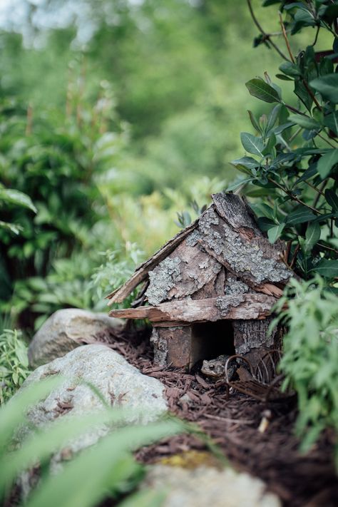 Toad Houses For The Garden, Toad Abode, Toad House, Frog House, Post Animal, Photo Series, Silly Pictures, Toad, Garden And Yard