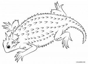 Horned Lizard Coloring Pages Lizard Coloring Pages, Science Art Projects, Horned Lizard, Elegant Photography, Frog Coloring Pages, Horned Frogs, Online Coloring Pages, Coloring Pages To Print, Free Printable Coloring