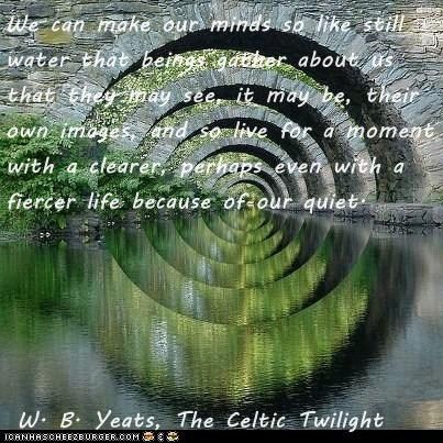 We can make our minds so like still water that beings gather about us that they may see, it may be, their own images, and so live for a moment with a clearer, perhaps even with a fiercer life because of our quiet.   W. B. Yeats, The Celtic Twilight A Quote, Bridge, Stone, Water