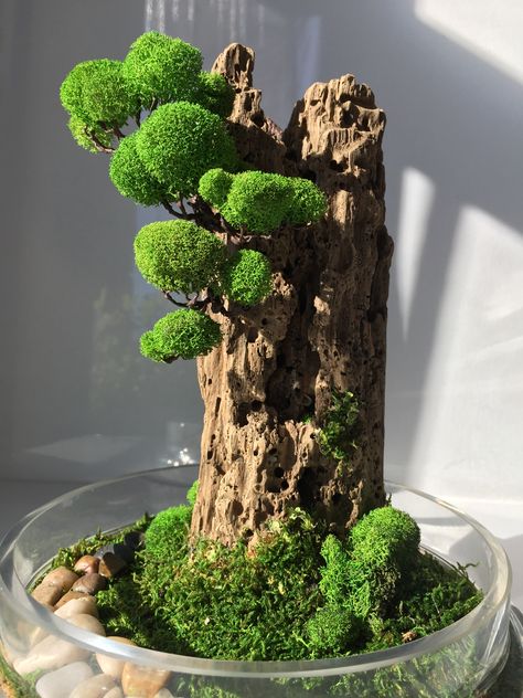 Moss Tree, Moss Decor, Artificial Plants Indoor, Artificial Plant Wall, Artificial Plants Outdoor, Moss Terrarium, Moss Garden, Preserved Moss, Garden Terrarium