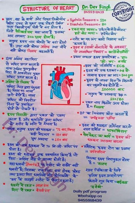 Neet Exam Notes Biology In Hindi, भारतीय इतिहास, Neet Notes, General Studies, Human Body Facts, Basic Anatomy And Physiology, Ssc Cgl, Biology Facts, Gk Questions And Answers