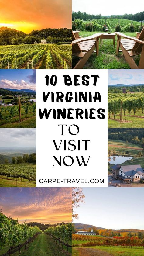 Come explore the beautiful and diverse wineries of Virginia. Virginia has some of the most beautiful vineyards and wineries for any wine lover to visit. Explore true Virginia wines and wineries with the help of this wine travel guide. Virginia Wineries Map, Virginia Wine Country, Virginia Wineries, Fun Trips, Wine Country Travel, Paradise Travel, Wine Connoisseur, Willamette Valley, Drinking Wine