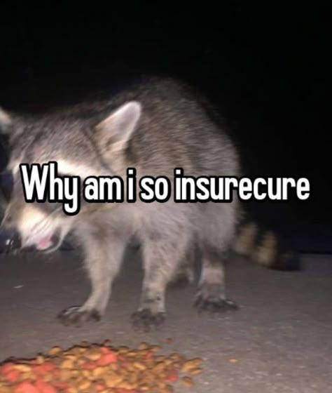 I misspelled insecure. Insecure Photo, Quotes About Insecure, Why Am I Insecure, Insecure Pfp, How To Not Be Insecure, Insecure Picture, How Insecure Are You Template, I Am Insecure Quote Feelings, Insecure Quote