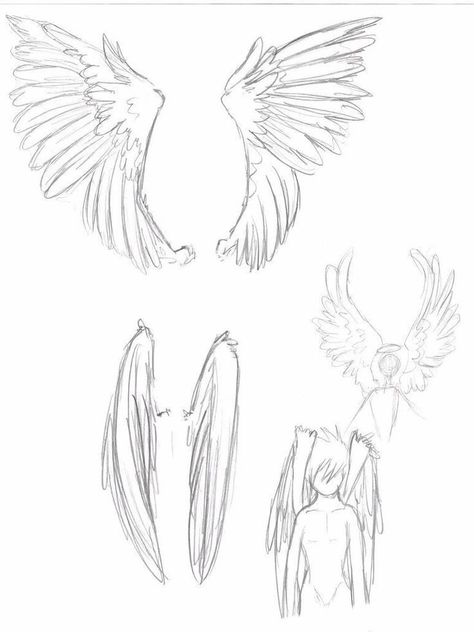 Poses With Wings, Anime Wings, Wings Sketch, Illustration Manga, Wings Drawing, Angel Drawing, Wings Art, Drawing Stuff, Figure Drawing Reference