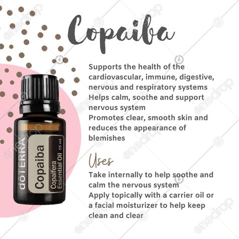 Copaiba uses and benefits #copaiba #copaiba uses #copaiba diffuser blends #`Rleax #Ground #immune #sleep #wellnessadvocate #doterra #wellnessstockphotos #onedropdesigns #doterrawellnessadvocate #doterratips #doterragraphics #doterraphotos Copaiba Essential Oil Diffuser Blends, Doterra Copaiba Uses, Copaiba Softgels Doterra, Doterra Adaptiv, Support Nervous System, Copaiba Essential Oil, Doterra Wellness Advocate, Essential Oils Herbs, Respiratory System