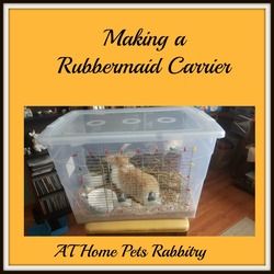 An inexpensive and quick rabbit carrier/temporary home. using a rubbermaid container and wire. http://athomepets.weebly.com/at-home-pets-blog/quick-rabbit-carrier-build Diy Rabbit Carrier, Bunny Carrier, Rabbit Carrier, Diy Rabbit Cage, Rabbit Hutch Indoor, Diy Rabbit Hutch, Rabbit Stuff, Rabbit Habitat, Home Pets