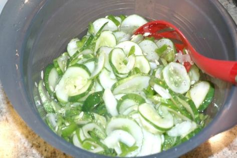 Homemade Sweet Freezer Pickles Recipe Freezer Cucumbers, Freezer Cucumber And Onions, Freezer Pickles Recipes, Easy Freezer Pickles, Freezer Pickles Bread And Butter, Quick Pickles Refrigerator, Freezer Pickles, Sweet Pickles Homemade, Freezer Containers