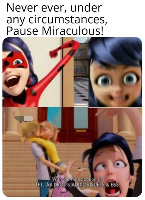 Jing Y Jang, Catnoir And Ladybug, Being Weird, Miraculous Ladybug Oc, Miraculous Ladybug Memes, Miraculous Ladybug Fanfiction, Ladybug Anime, Miraculous Ladybug Movie, Miraculous Ladybug Fan Art