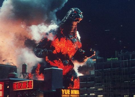 Heisei Godzilla, Godzilla 1995, Godzilla Artwork, Showa Godzilla, Burning Godzilla, Mecha Godzilla, Big Lizard, Bad Film, Godzilla Movie