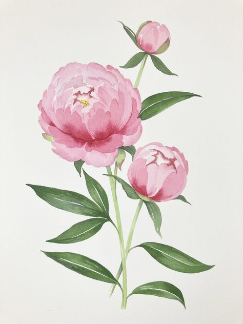 Watercolor Worksheet, Watercolour Peony, Peony Flower Painting, Peony Tutorial, Watercolour Tutorial, Watercolour Challenge, Painting Guide, Watercolor Kit, Peony Painting