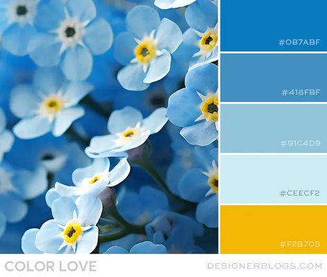 Unforgettable Blue & Yellow Color Palette Blue And Yellow Room Ideas, Blue Yellow Cream Color Palette, Yellow And Blue Color Scheme, Blue Yellow Colour Palette, Yellow Complimentary Colors, Yellow Blue Color Palette, Blue And Yellow Colour Palette, Blue Yellow Color Palette, Yellow And Blue Color Palette