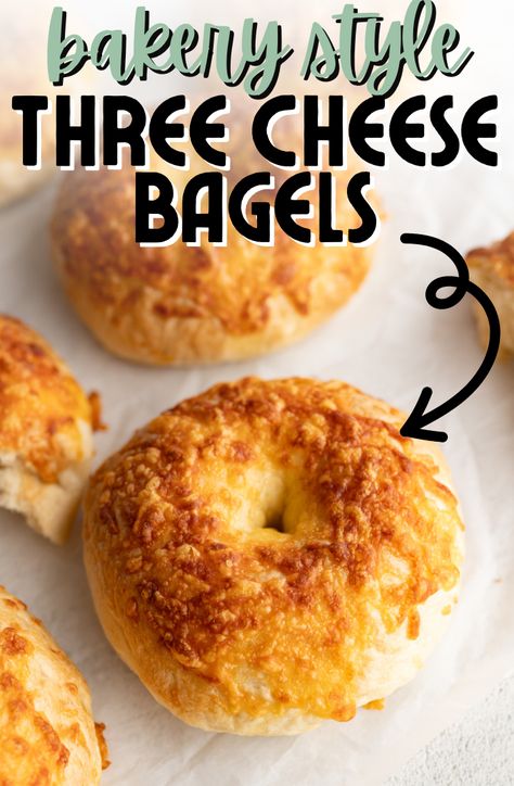 Three Cheese Bagels - Cooking With Karli Cheesy Bagel Recipe, Cheddar Bagel Recipe, Cheese Bagel Recipe, Bagel Flavors, Bagels Homemade, Bagel Ideas, Cheddar Bagels, Bagel Recipes, Healthy Bagel