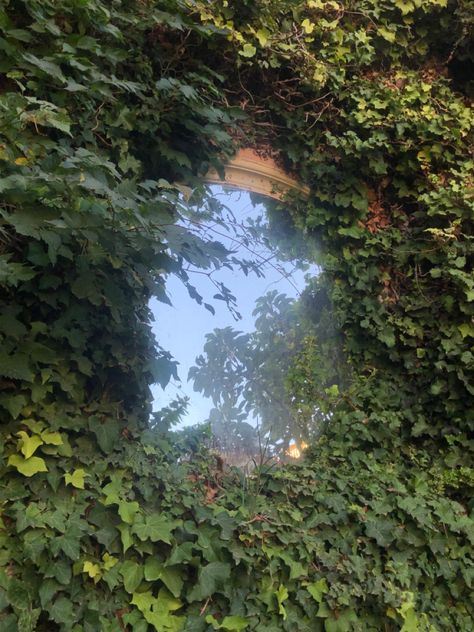 Mirror hanged in a wall with grass growing all around it Mirror In Nature, Mirror In Forest, Ruin Aesthetic, Hozier Vibes, Mirror Forest, Mirror Portal, Plant Mirror, Mirror Tree, Mirror Outside