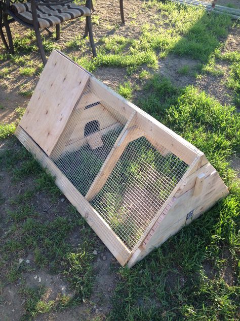 Our quail house Pallet Quail Coop, Indoor Quail Coop, Diy Quail Cage, Quail Coop Ideas, Quail Coop Ideas Diy, Quail Enclosure, Button Quail Enclosure, Button Quail Housing, Quail Run