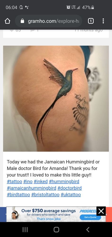 Doctor Bird Tattoo, Doctor Bird, Bird Tattoo Meaning, Bird Tattoo, Tattoo Meaning, Birds Tattoo, Tattoos With Meaning, Watercolor Tattoo, Tatting