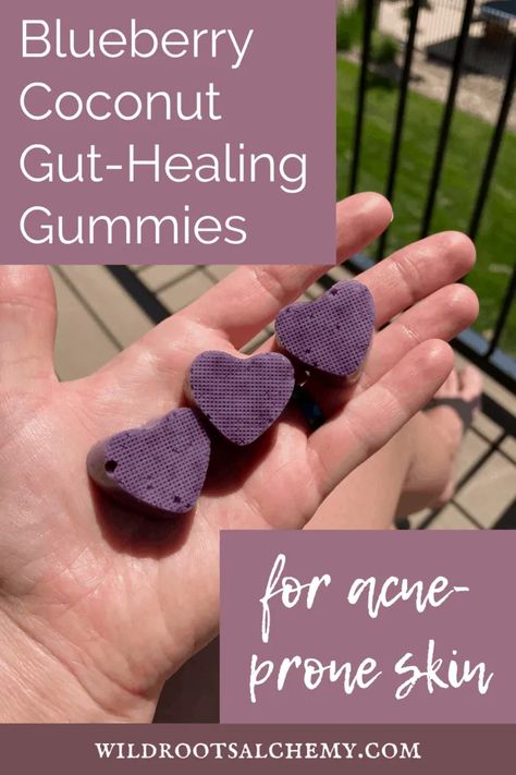 Blueberry Coconut Gut-Healing Gummies for Acne-Prone Skin - Wild Roots Alchemy Milky Oats, Healing Acne, Inflammation Remedies, Grass Fed Gelatin, Herbal Recipes, Gut Healing, Birth Control, Natural Wellness, Eating Healthy