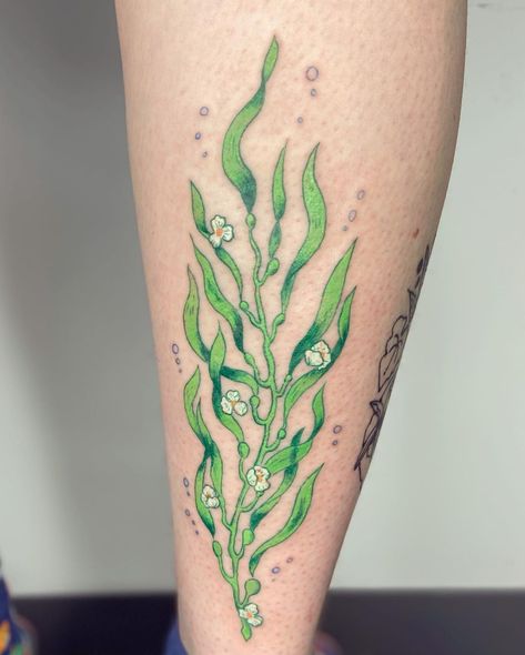 Sea Foam Tattoo, Kelp Tattoo, Seaweed Tattoo, Aquatic Tattoo, Coral Tattoo, Underwater Tattoo, Tattoo Pierna, Green Tattoos, Sea Tattoo