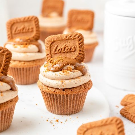 These biscoff cookie butter cupcakes have a brown butter spiced cupcake base filled with speculoos cookie butter and topped with fluffy cookie butter frosting and biscoff cookies! Cookie Butter Cupcakes, Cookie Butter Frosting, Butter Cupcake Recipe, Biscoff Cupcakes, Speculoos Cookie Butter, Biscoff Recipes, Biscoff Cookie Butter, Butter Cupcakes, Biscoff Cookies