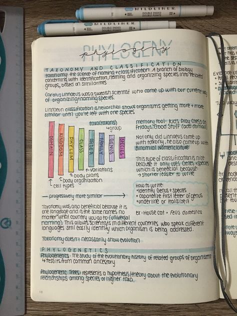 Taxonomy Biology Notes, Taxonomy Notes, Taxonomy Biology, Handwriting Tutorial, Bio Notes, Biochemistry Notes, Books Notes, Learn Biology, Notes Tips