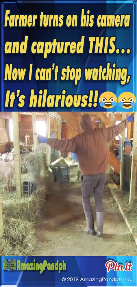 In case you missed it... This is the BEST thing ever!! ?? #farm #farmer #ranch #hilarious #dance #funny Ranching Humor, Funny Chicken Videos, Country Dancing Aesthetic, Farm Animal Videos, Funny Farm Animals, Farm Jokes, Funny Chickens, Guy Dancing, Farm Humor