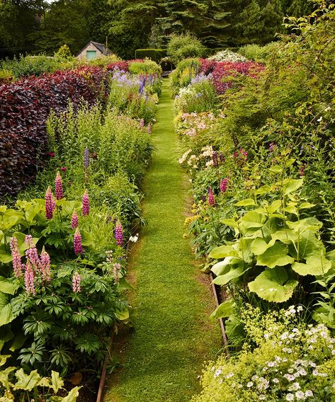 Botanical Garden Design Plan, Horticulture Therapy Garden, Fragrance Garden, Aromatic Garden, London Botanical Garden, Pleasure Garden, Thyme Plant, Famous Gardens England, Chocolate Cosmos