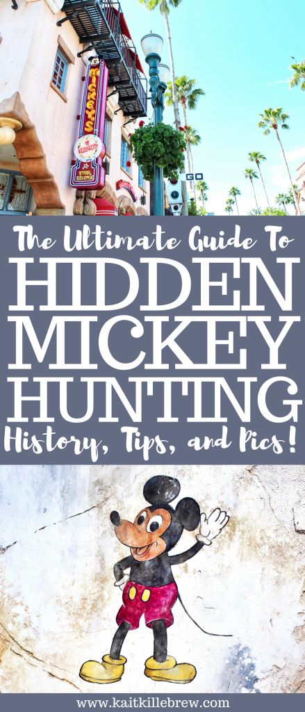 Disney Hacks, Disney Fall, Disney Worlds, Hidden Mickeys, Travel Tips And Tricks, Disney 2023, Disney Clothing, Disney World Vacation Planning, Disney Blog