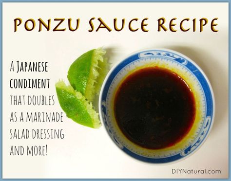 Ponzu Sauce Recipe: A Japanese Umami Condiment and More Ponzu Sauce Recipe, Ponzu Sauce, Japanese Sauce, Mapo Tofu, Asian Sauce, Shabu Shabu, Japanese Recipes, Sushi Recipes, Savory Sauce